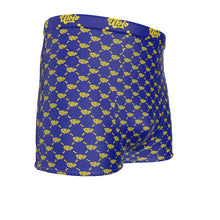 Load image into Gallery viewer, UTO IV Men's Boxer Briefs