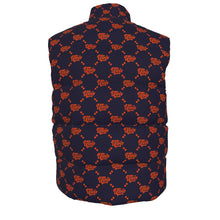 Load image into Gallery viewer, UTO IV Unisex Down Vest