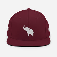 Load image into Gallery viewer, UTO IV "ROLL RIDE" Snapback Hat