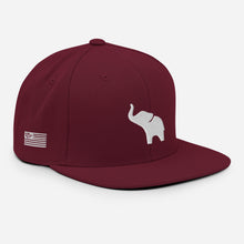 Load image into Gallery viewer, UTO IV "ROLL RIDE" Snapback Hat