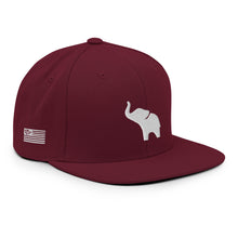 Load image into Gallery viewer, UTO IV "ROLL RIDE" Snapback Hat