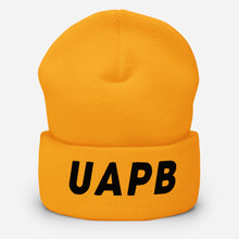 Load image into Gallery viewer, UTO IV UA PINE BLUFF Cuffed Beanie