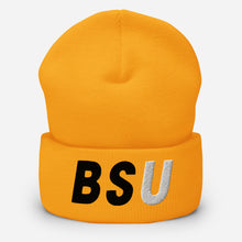 Load image into Gallery viewer, UTO IV BOWIE STATE Cuffed Beanie