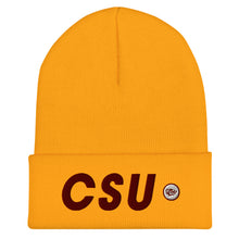Load image into Gallery viewer, UTO IV Central State Cuffed Beanie