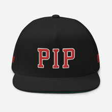 Load image into Gallery viewer, UTO IV "PIPPEN PIP" Flat Bill Cap