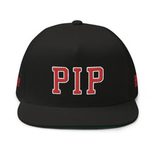 Load image into Gallery viewer, UTO IV "PIPPEN PIP" Flat Bill Cap