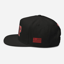 Load image into Gallery viewer, UTO IV "PIPPEN PIP" Flat Bill Cap