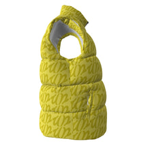 Load image into Gallery viewer, UTO IV Unisex Down Vest
