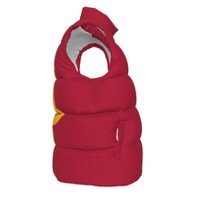 Load image into Gallery viewer, UTO IV Unisex Down Vest
