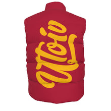 Load image into Gallery viewer, UTO IV Unisex Down Vest
