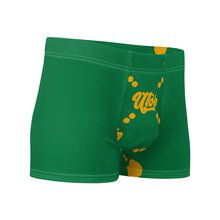 Load image into Gallery viewer, UTO IV Boxer Briefs
