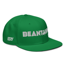 Load image into Gallery viewer, UTO IV "Beantown" Snapback Hat
