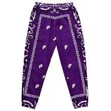 Load image into Gallery viewer, UTO IV Unisex Track Pants
