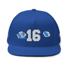 Load image into Gallery viewer, UTO IV NIA LONG 16 Flat Bill Cap

